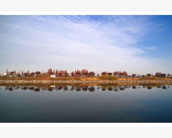 B2B交易管理核心环节企业实战要点