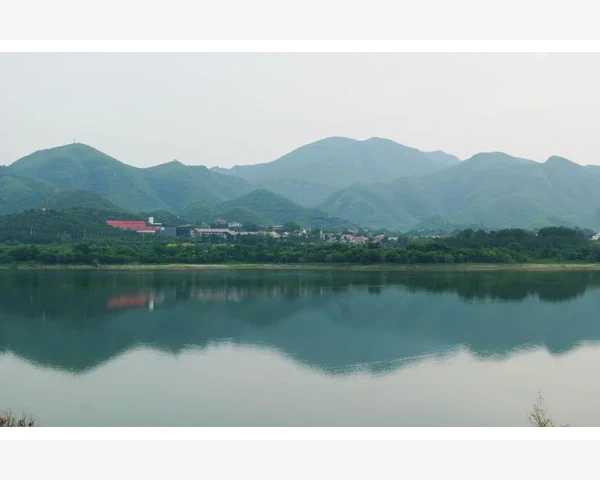 五天宝宝脾胃养护指南：中医视角