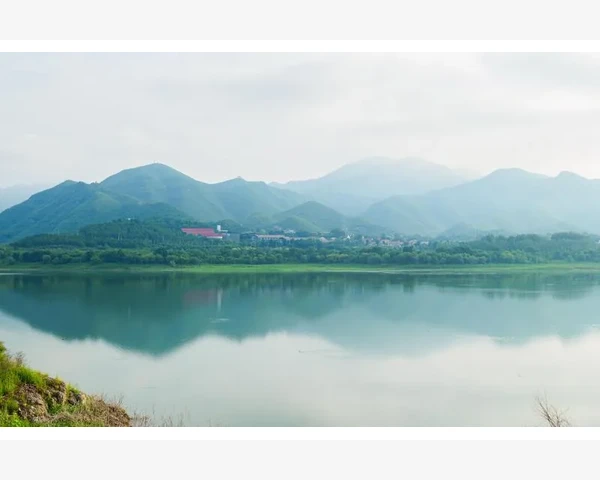 空腹胃疼吃什么药好用？