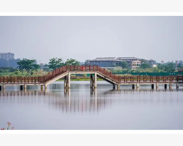 湿疹之忧，菜肴相伴：养生调理一路相随